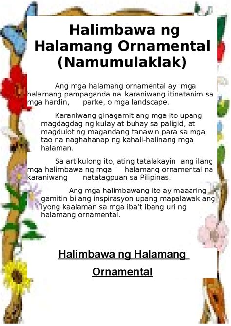 14 Halimbawa ng Halamang Ornamental (Namumulaklak).